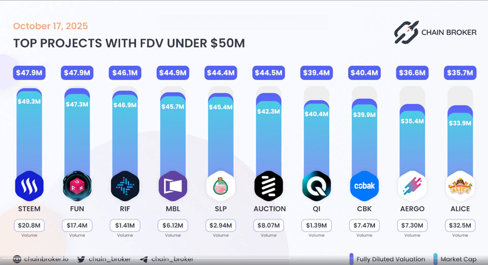 Лучшие проекты с FDV до 50 млн долларов США от Chain Broker